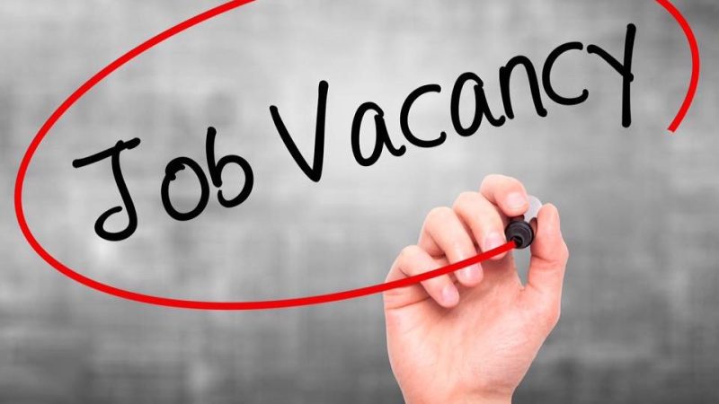 Logistics Officer Job at HCD RoyalConnect Limited